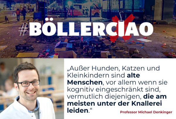  Professor Michael Denkinger, President-elect der DGG
