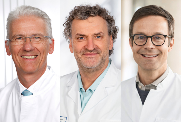 Professor Rainer Wirth, Professor Markus Gosch und Professor Michael Denkinger 